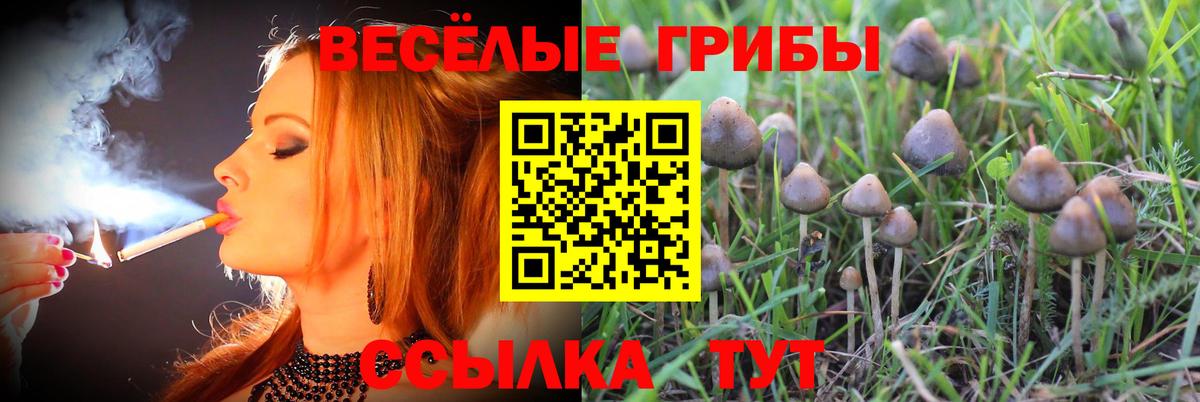 Псилоцибиновые грибы MAGIC MUSHROOMS Коломна