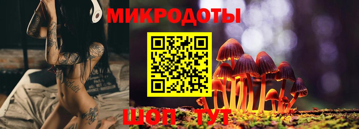 Коломна  Галлюциногенные грибы Psilocybe  Вход с VPN 